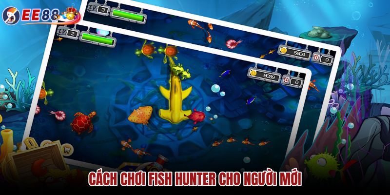 cach-choi-fish-hunter-cho-nguoi-moi