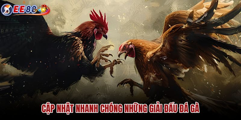 cap-nhat-nhanh-chong-nhung-giai-dau-da-ga