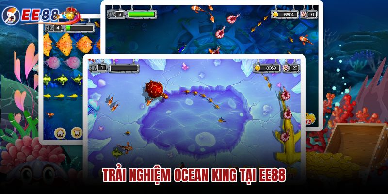 trai-nghiem-ocean-king-tai-ee88