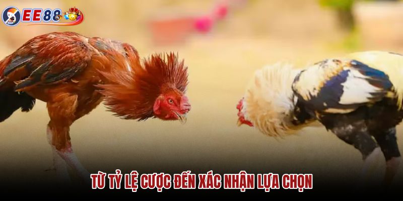 tu-ty-le-cuoc-den-xac-nhan-lua-chon